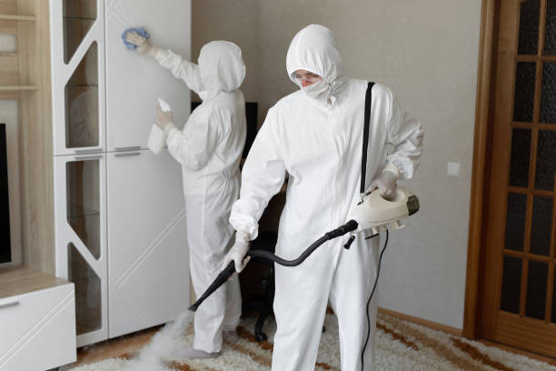 Best Attic Mold Removal  in Durant, OK