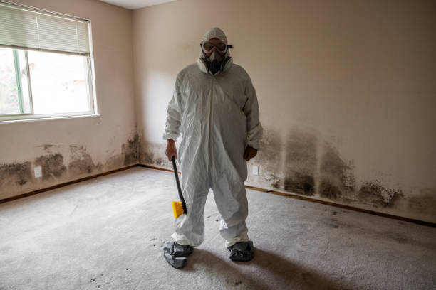 Best Professional Mold Removal  in Durant, OK